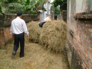 TRANSPORTE HENO